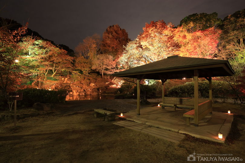 須磨離宮公園の夜景スポット写真（6）