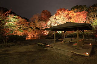 須磨離宮公園の夜景スポット写真（6）class=