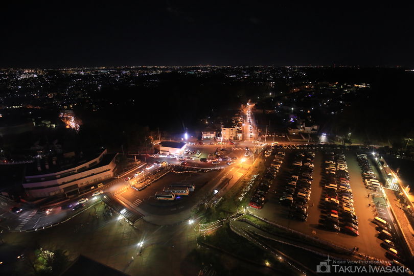よみうりランド 大観覧車の夜景スポット写真（1）