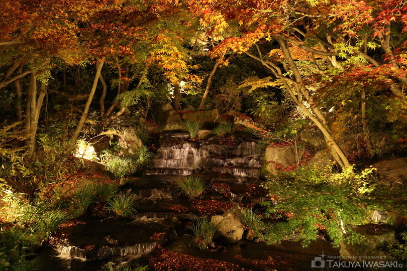 姫路城西御屋敷跡庭園　好古園の夜景スポット写真（2）