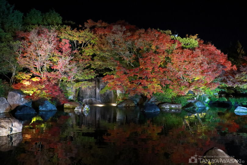 姫路城西御屋敷跡庭園　好古園の夜景スポット写真（3）