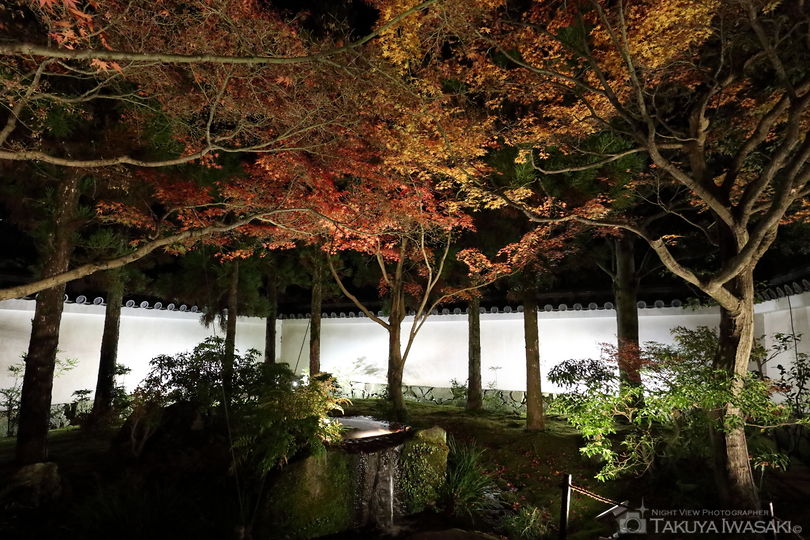 姫路城西御屋敷跡庭園　好古園の夜景スポット写真（4）