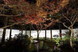 姫路城西御屋敷跡庭園　好古園の夜景スポット写真（4）class=