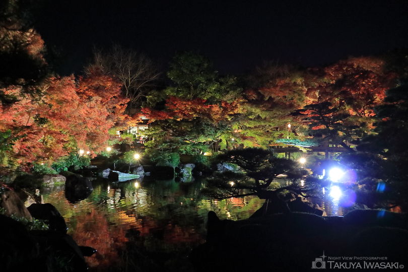 姫路城西御屋敷跡庭園　好古園の夜景スポット写真（5）