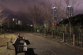 幸ケ谷公園の夜景スポット写真（5）class=