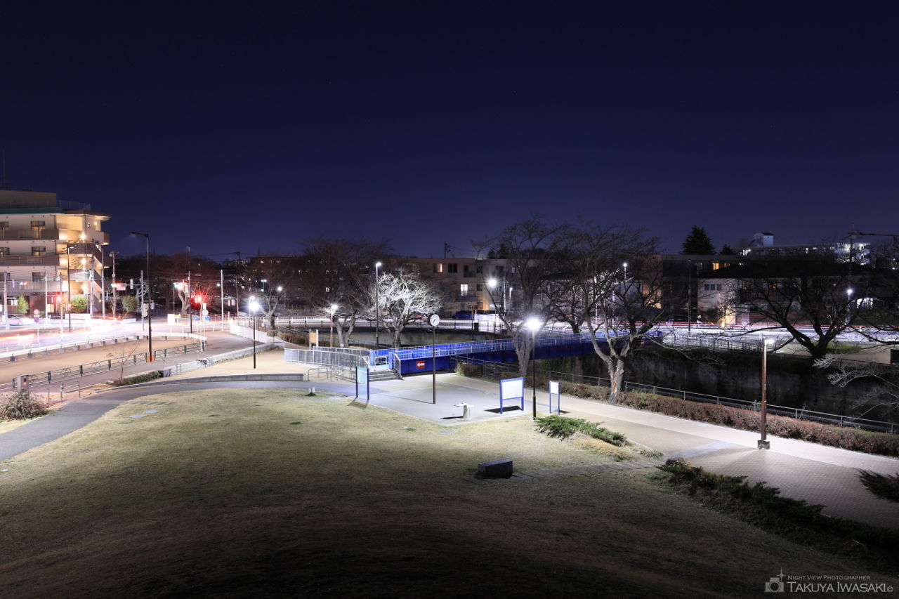 むさしの公園の夜景スポット写真（2）