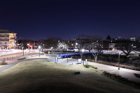 むさしの公園の夜景スポット写真（2）class=