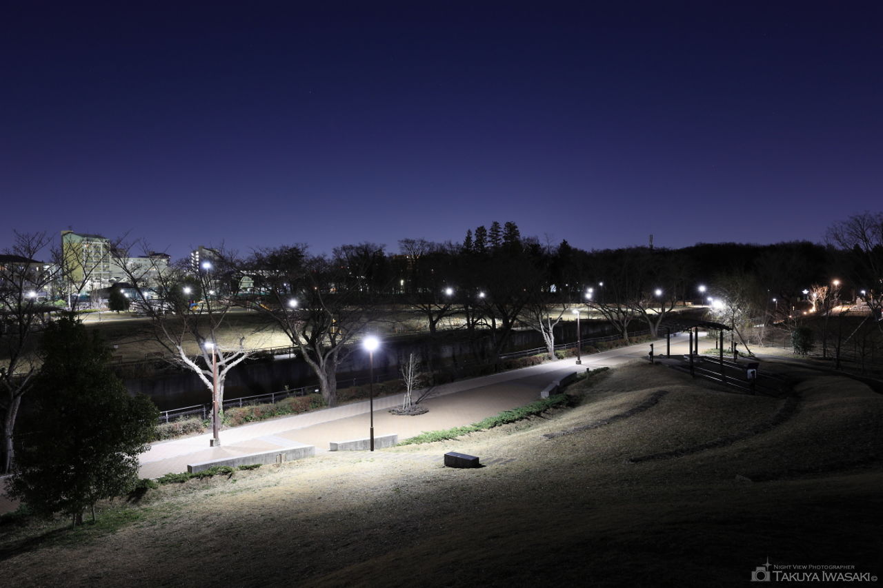 むさしの公園の夜景スポット写真（3）