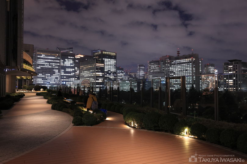 東京ミッドタウン日比谷 パークビューガーデンの夜景スポット写真（3）
