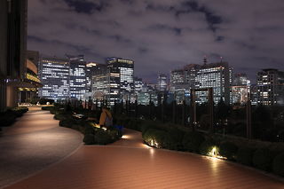 東京ミッドタウン日比谷 パークビューガーデンの夜景スポット写真（3）class=
