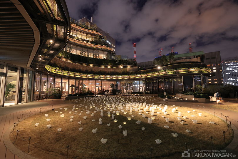 東京ミッドタウン日比谷 パークビューガーデンの夜景スポット写真（5）