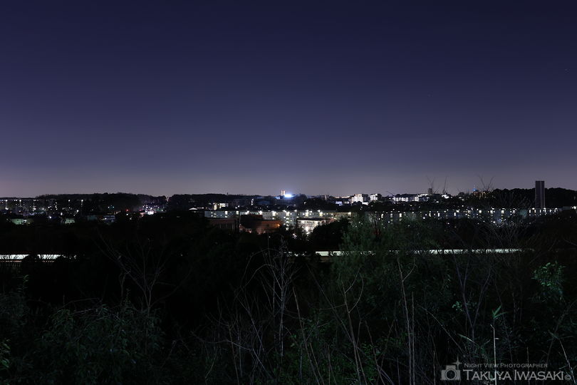 城山神社の夜景スポット写真（3）