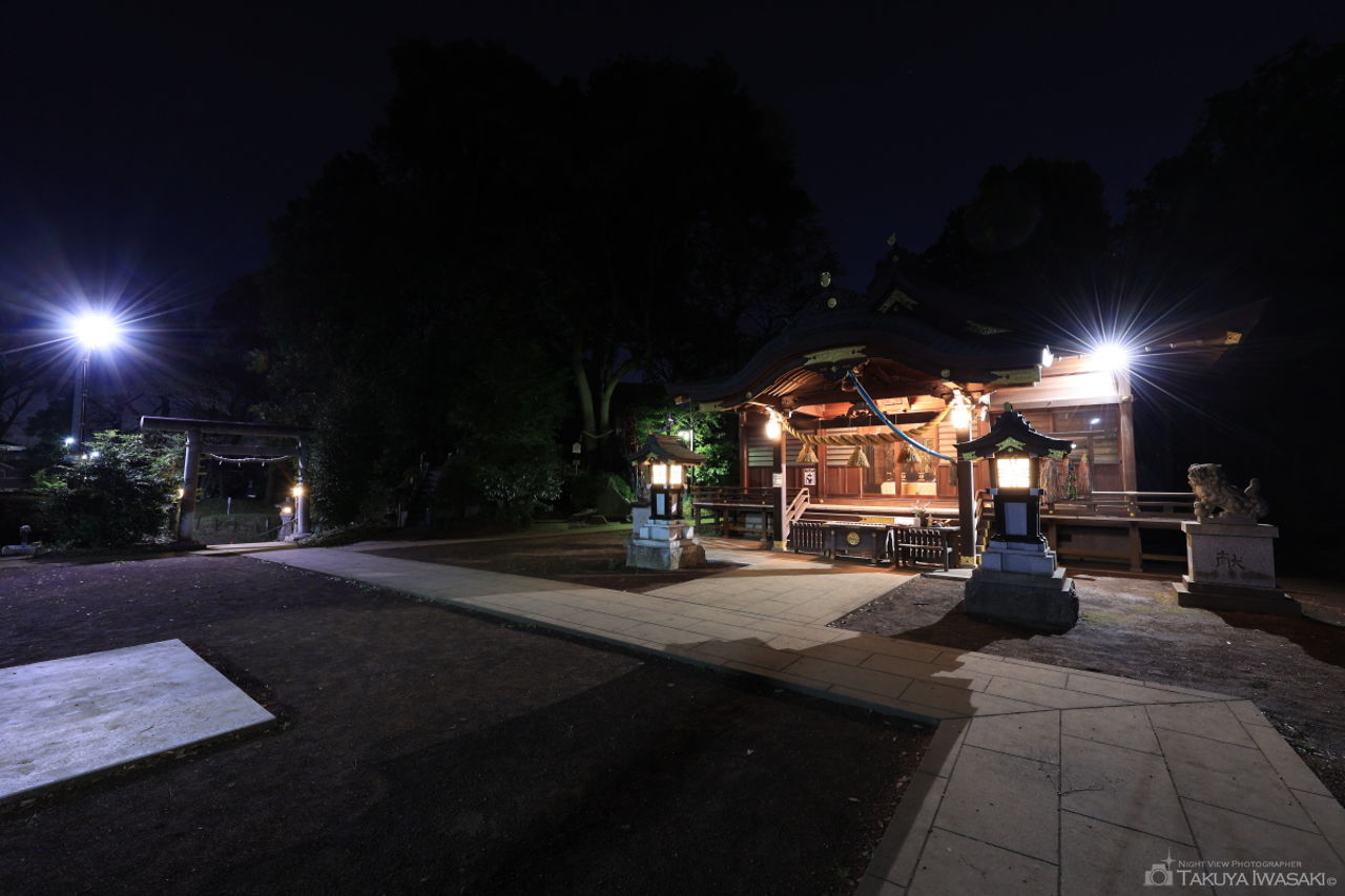 城山神社の夜景スポット写真（6）
