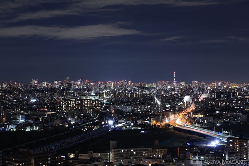 川崎市役所　展望ロビー・スカイデッキの夜景スポット写真（2）