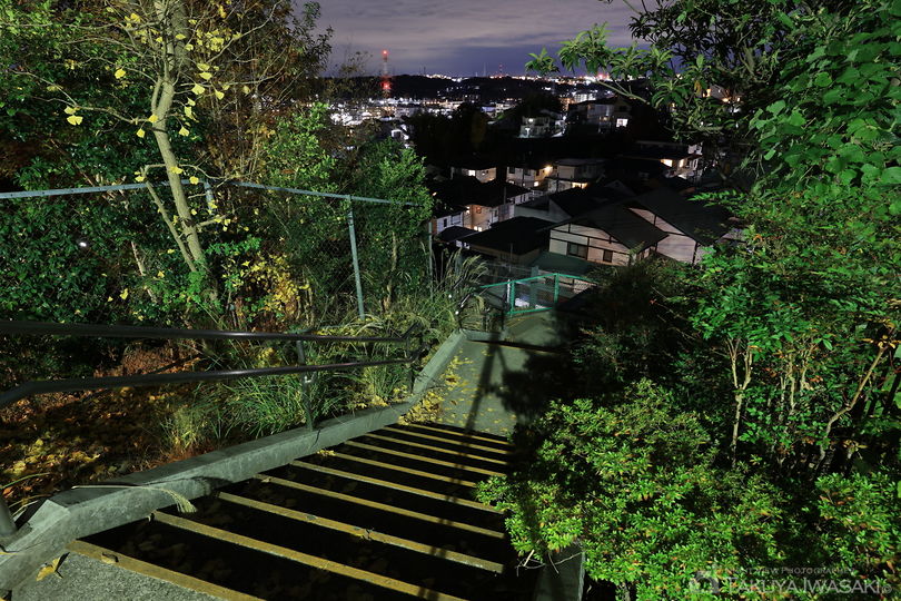 高田第五公園の夜景スポット写真（3）