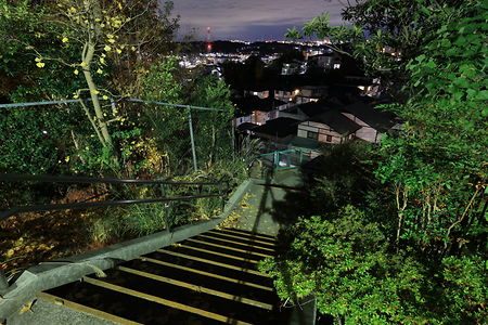 高田第五公園の夜景スポット写真（3）class=
