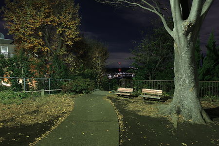 高田第五公園の夜景スポット写真（4）class=