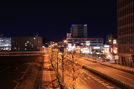 あゆみ橋の夜景スポット写真（2）class=