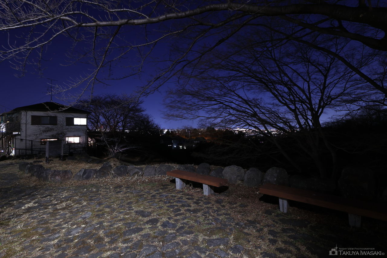 長沼公園 絹ヶ丘口の夜景スポット写真（3）