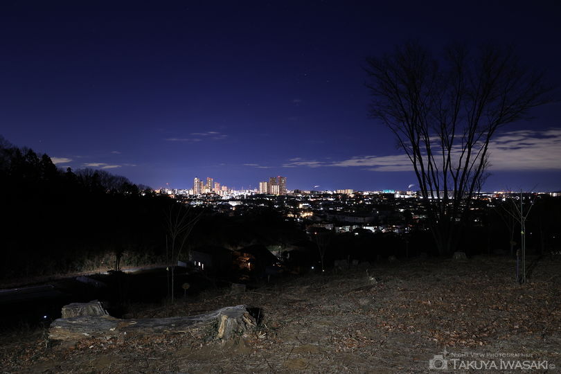 相原中央公園の夜景スポット写真（2）