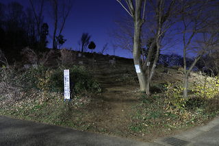 相原中央公園の夜景スポット写真（5）class=