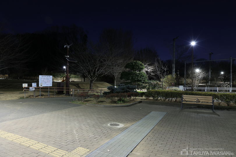 相原中央公園の夜景スポット写真（6）