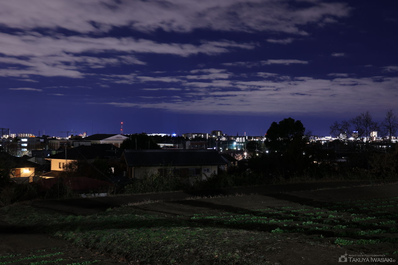 尾根緑道 小山田桜台1号緑地の夜景スポット写真（2）