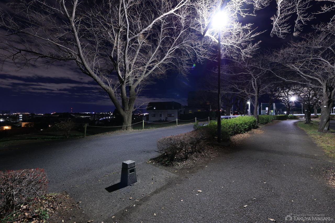 尾根緑道 小山田桜台1号緑地の夜景スポット写真（3）