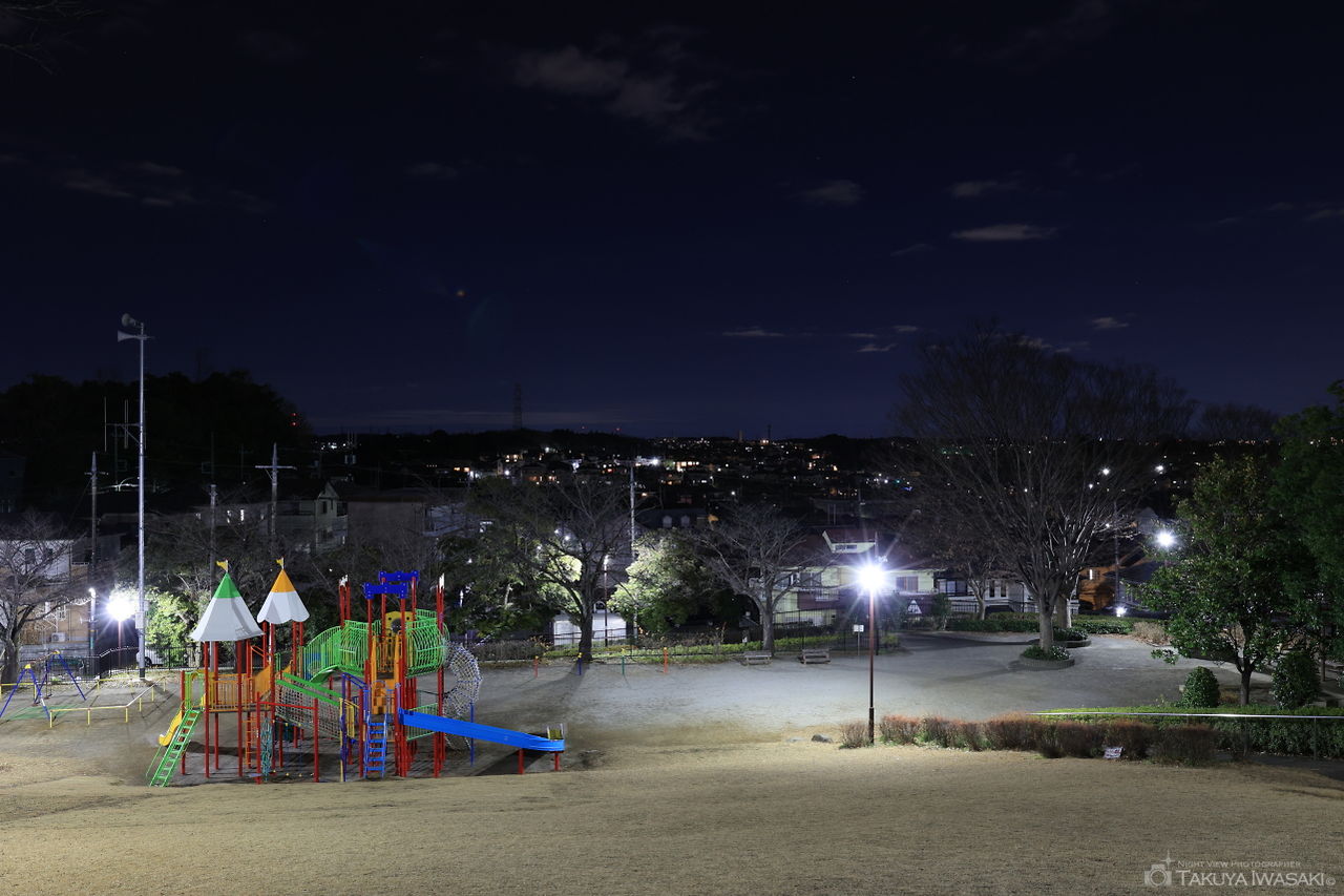 金井遊歩公園の夜景スポット写真（2）