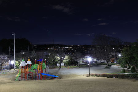 金井遊歩公園の夜景スポット写真（2）class=