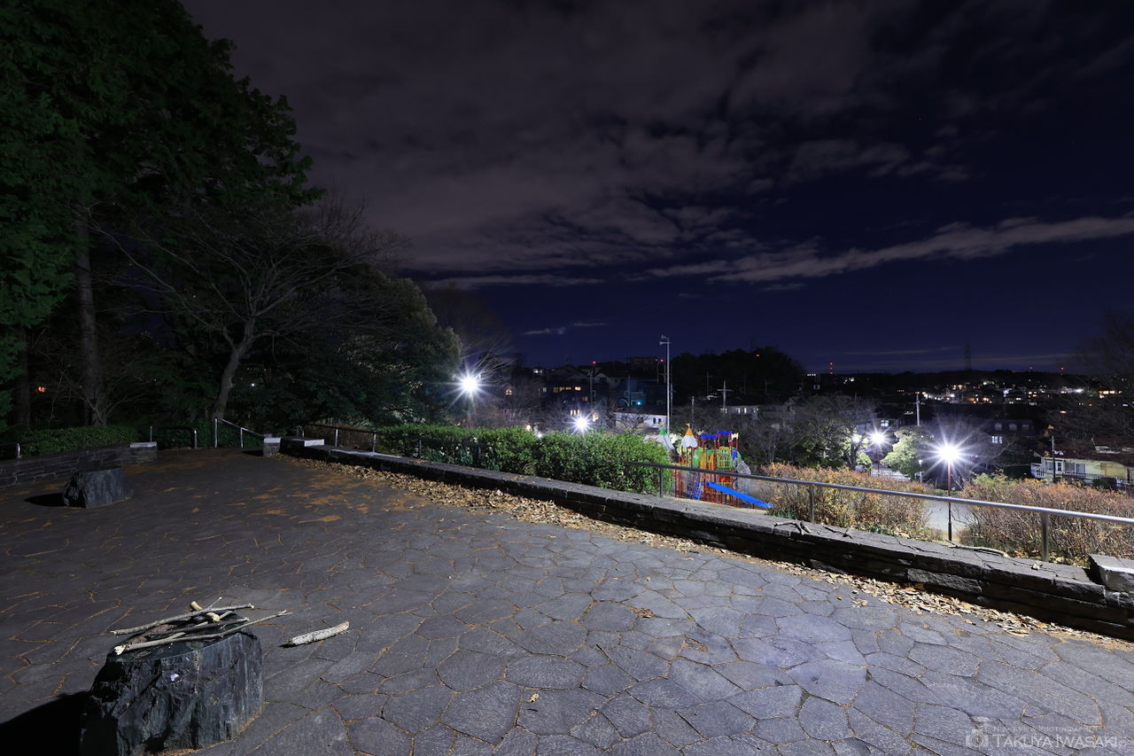 金井遊歩公園の夜景スポット写真（3）