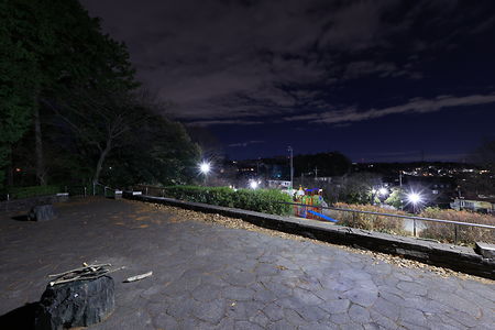 金井遊歩公園の夜景スポット写真（3）class=