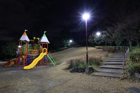 金井遊歩公園の夜景スポット写真（5）class=