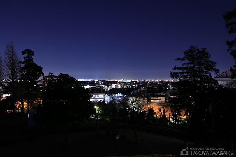 大坂台公園の夜景スポット写真（1）