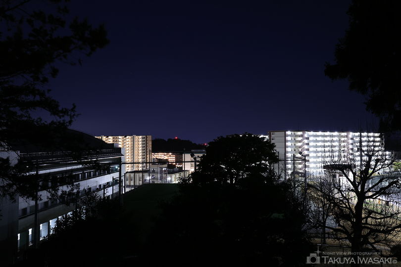 大坂台公園の夜景スポット写真（4）
