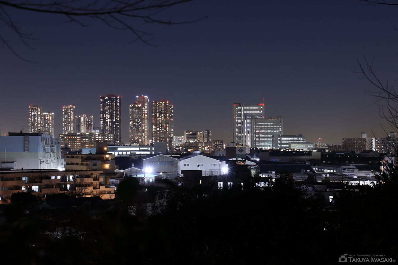 夢見ヶ崎公園の夜景スポット写真（1）