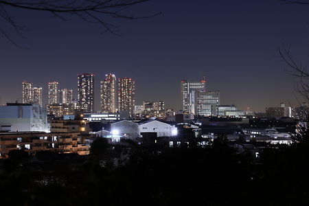 夢見ヶ崎公園の夜景スポット写真（1）class=