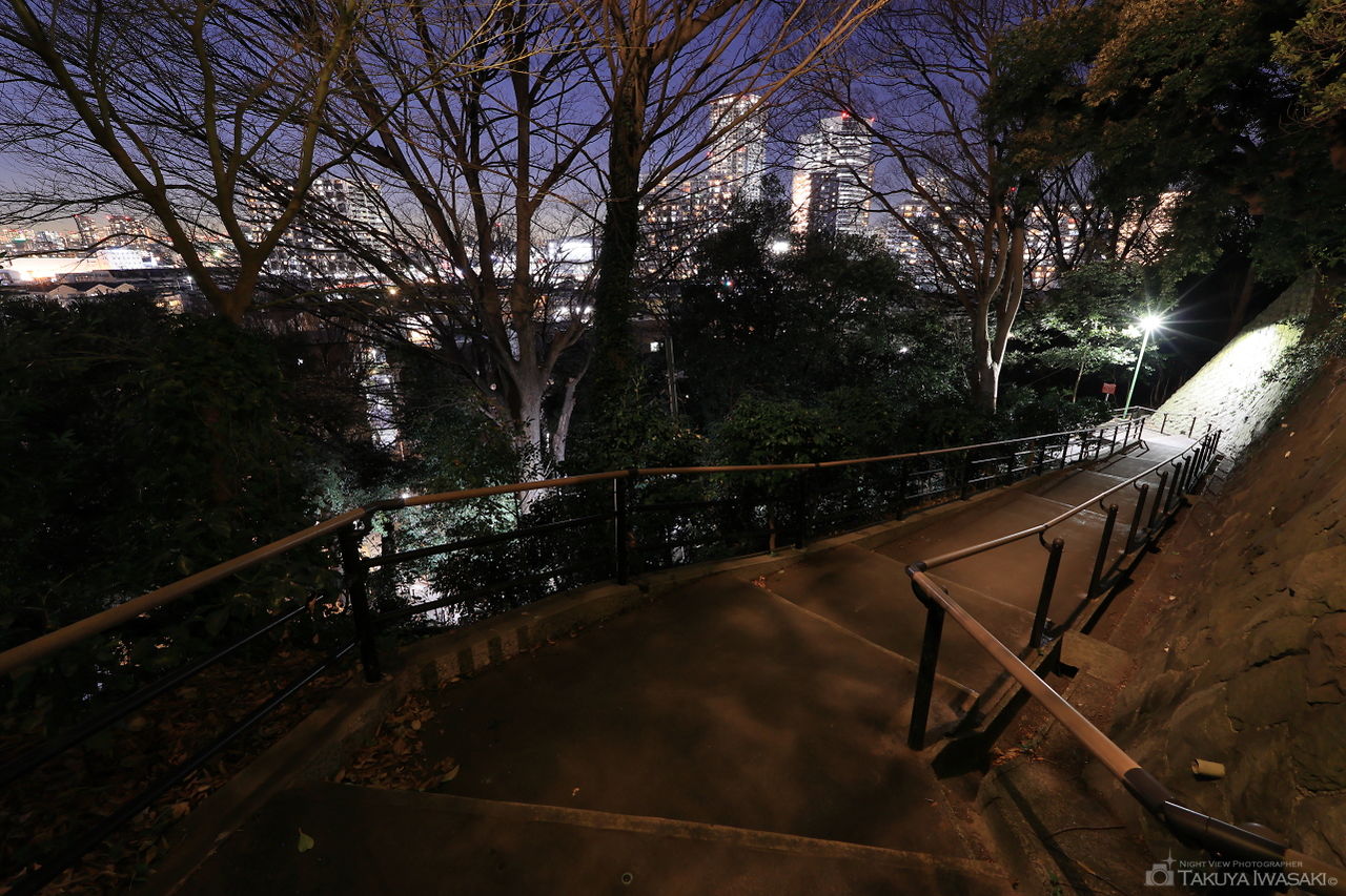 夢見ヶ崎公園の夜景スポット写真（2）