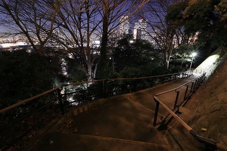 夢見ヶ崎公園の夜景スポット写真（2）class=