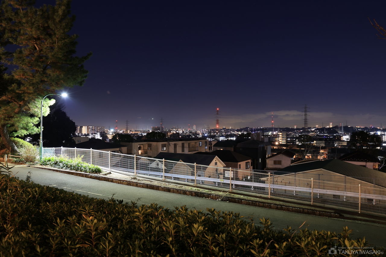 夢見ヶ崎公園の夜景スポット写真（4）