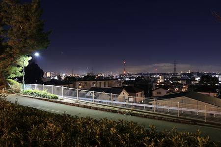 夢見ヶ崎公園の夜景スポット写真（4）class=
