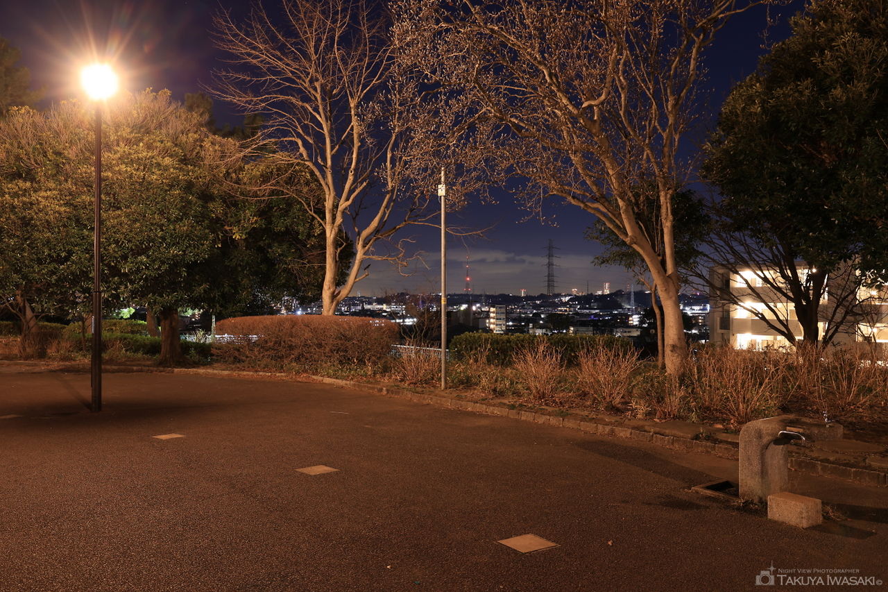 夢見ヶ崎公園の夜景スポット写真（5）