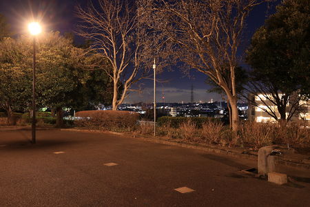 夢見ヶ崎公園の夜景スポット写真（5）class=