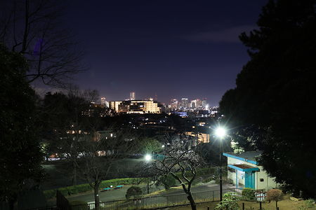 神之木公園の夜景スポット写真（1）class=
