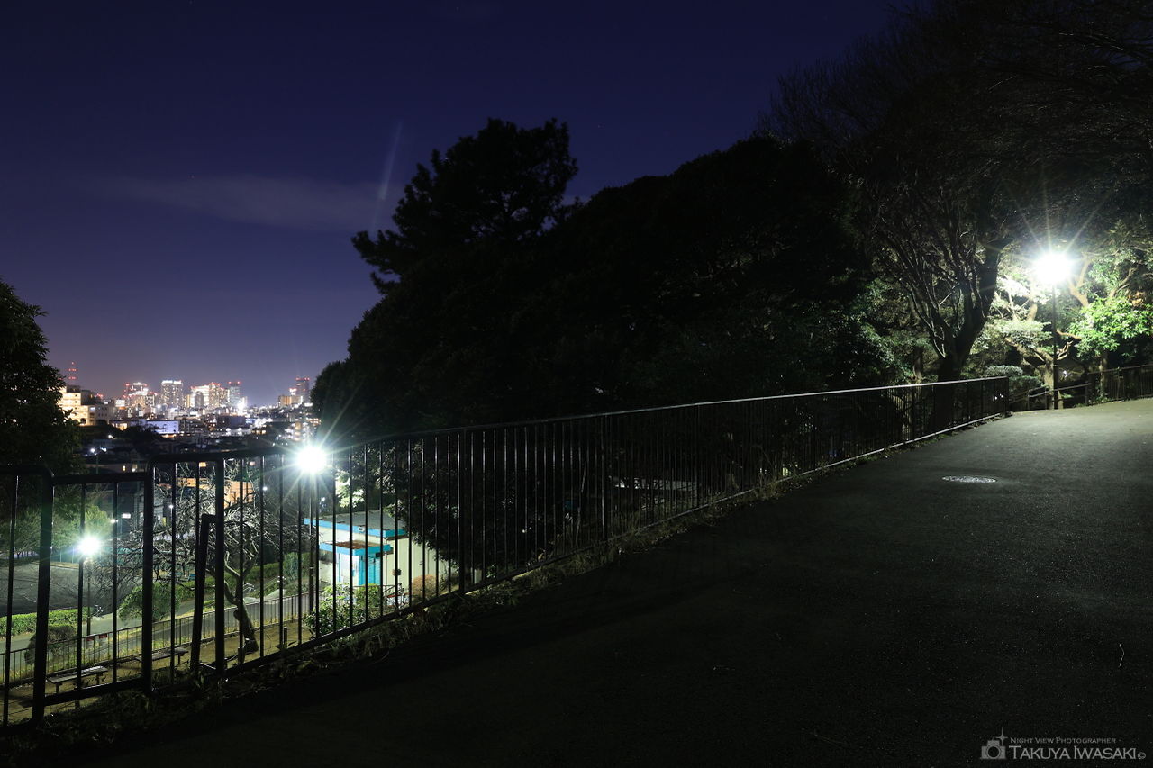 神之木公園の夜景スポット写真（3）