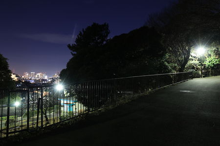 神之木公園の夜景スポット写真（3）class=