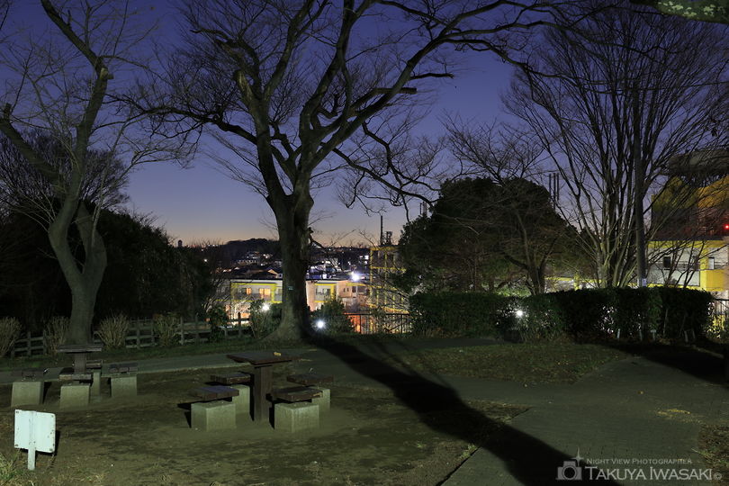 神之木公園の夜景スポット写真（4）