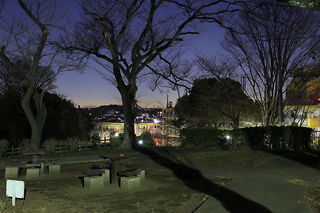 神之木公園の夜景スポット写真（4）class=