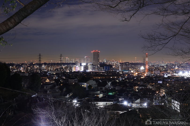 大倉山公園の夜景スポット写真（1）