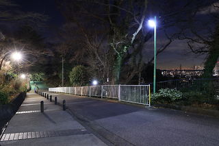 大倉山公園の夜景スポット写真（3）class=